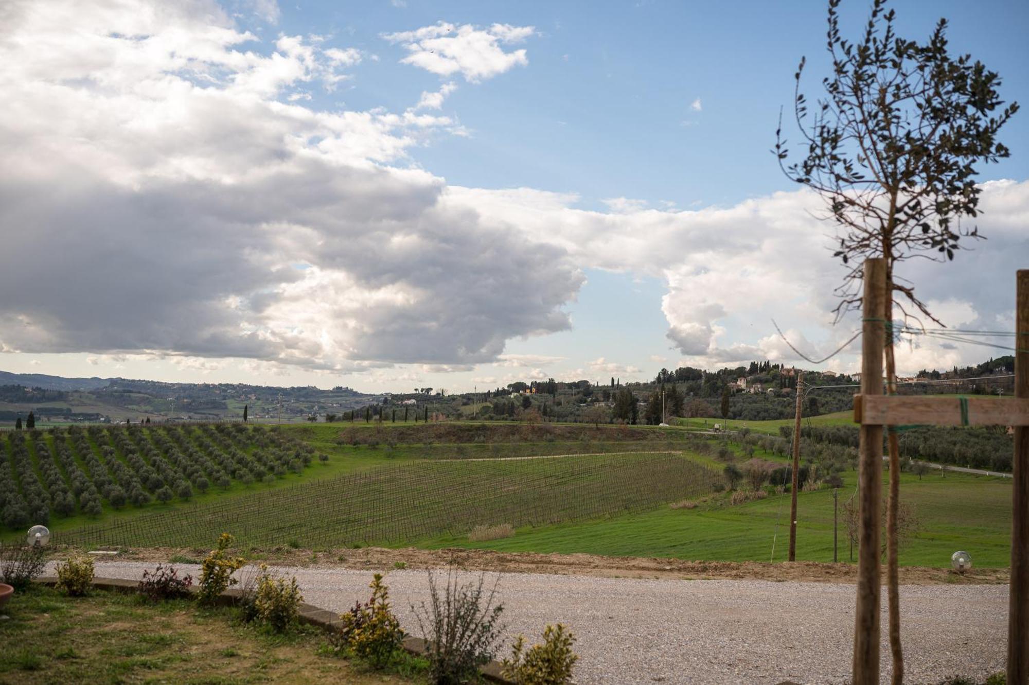 Podere Cornacchino Peccioli المظهر الخارجي الصورة